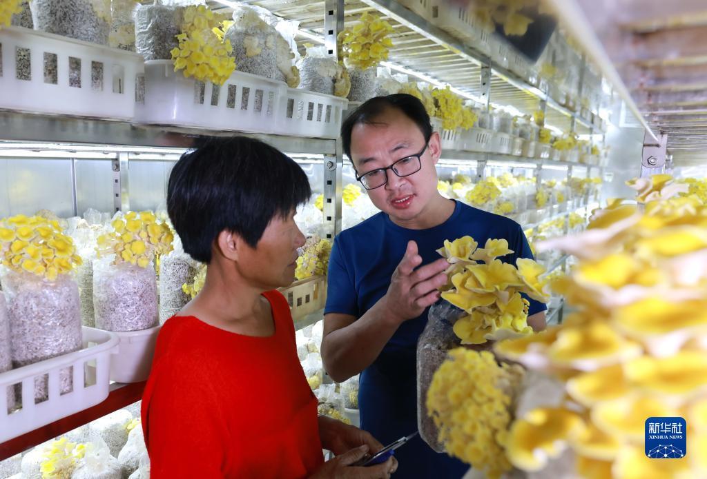 欢乐园游戏官网